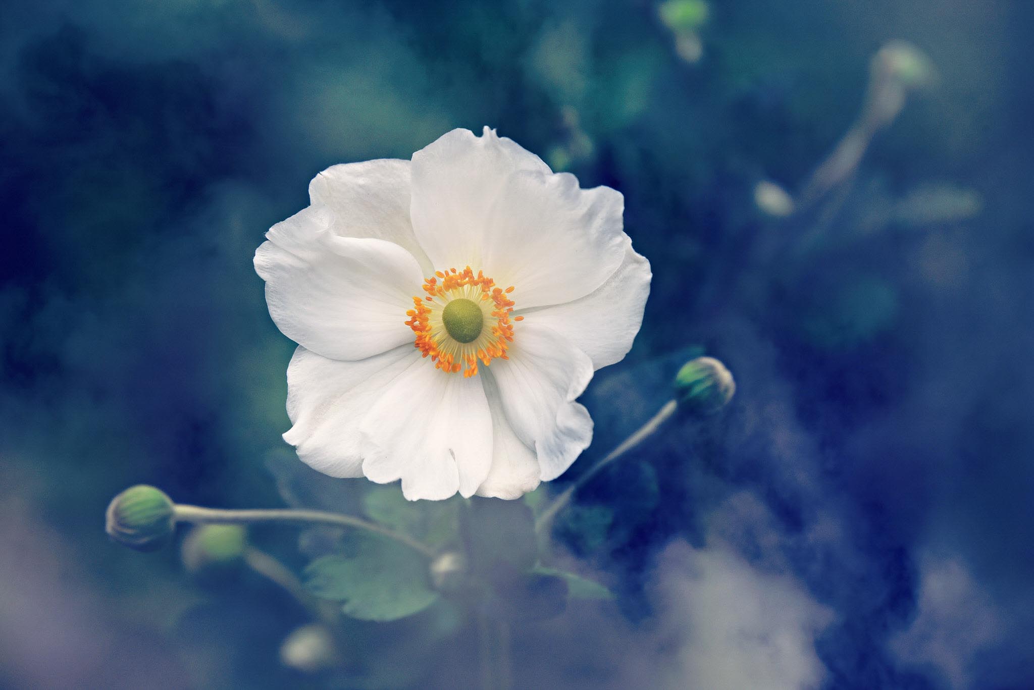 Bereavement image