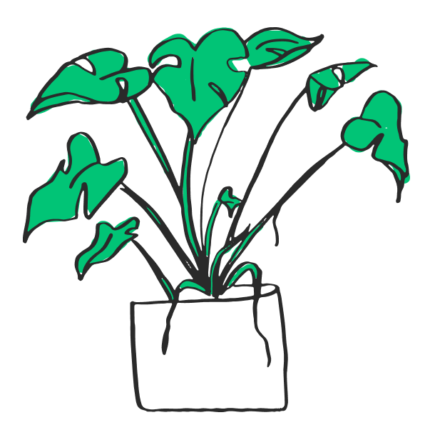 plant
