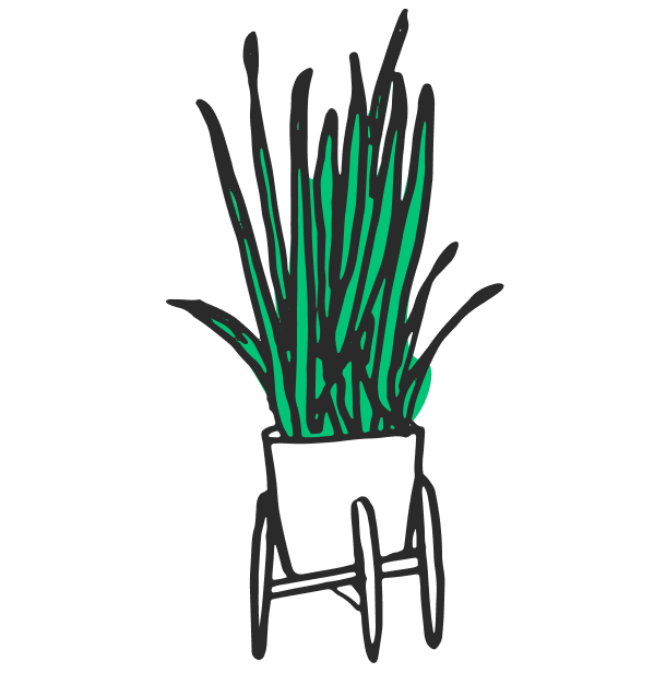 plant