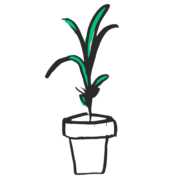 plant